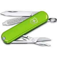 Victorinox Classic SD Smashed Avocado multitool