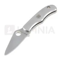 Spyderco Bug Knife Pe Mes Vastmes