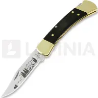 Buck Folding Hunter 110 vouwmes, Rocky Mountains