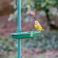 Cj Wildlife Vivara Combi Waterschaal | Vivara | Voedersystemen | Partner van Vogelbescherming Nederland | Drinkschaal voor vogels