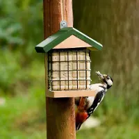 Cj Wildlife Vetblokhouder Wolga | | Voedersystemen | Partner van Vogelbescherming Nederland