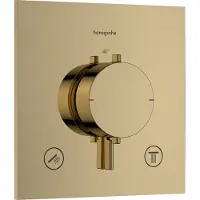 Hansgrohe Afbouwdeel Ecostat Comfort E Inbouwthermostaat Voor 2 Functies Goud