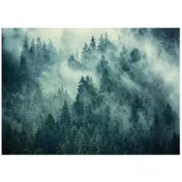 WALLARENA - Fotobehang - 200x140 cm - Fototapete van een bos in de mist, groen, voor slaapkamer en woonkamer, wanddecoratie