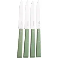 Opinel Bon Appetit 3326 Sage, 4-delige tafelmessenset