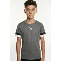 Puma Functioneel shirt 'TeamRise' donkergrijs / zwart / wit
