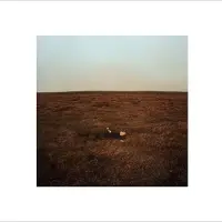 NEWS Fink - The City Coming To Erase It All (LP)