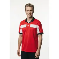 Puma Functioneel shirt 'TeamClassic' rood / zwart / wit