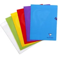 Clairefontaine gelinieerd schrift, 240 x 320 mm