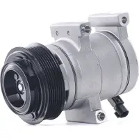 RIDEX 447K0599 Aircopomp