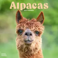 Avonside Publishing Ltd. Alpaca Kalender 2027