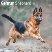 Avonside Publishing Ltd. Duitse Herder Kalender 2027