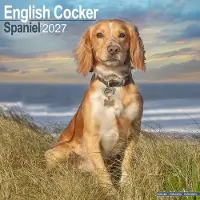 Avonside Publishing Ltd. Engelse Cocker Spaniel Kalender 2027