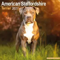 Avonside Publishing Ltd. American Staffordshire Terrier Kalender 2027