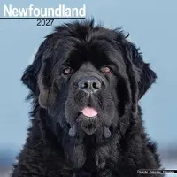 Avonside Publishing Ltd. Newfoundlander Kalender 2027