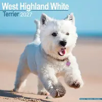 Avonside Publishing Ltd. West Highland White Terrier Kalender 2027