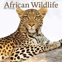 Avonside Publishing Ltd. African Wildlife Kalender 2027