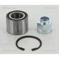 TRISCAN 8530 21213 Wiellagerset
