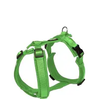 Petlando Hondentuig Maat S 44-60 cm Groen