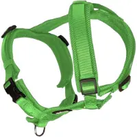 Petlando Hondentuig Maat XS 32-50 cm Apple Groen