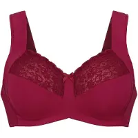 Anita Voorgevormde bh Havanna | Maat: 95E | Kleur: Rood