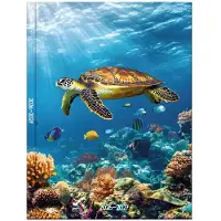 Soho Agenda - A5 Formaat - 21x14,5cm - Jaar 26/27 - 12 maanden - Augustus t/m Juli - 1 week op 2 pagina's - Harde kaft - Met leeslint - Seaworld