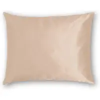 Silk Heaven Zijden kussensloop 50x60cm Donker Champagne Ritssluiting 19 Momme - Kussensloop set - Luxe Silk Kussensloop 100% moerbei zijde - Zijde kussensloop - - 50x60cm / Ritssluiting