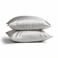 Silk Heaven 2x Zijden Kussensloop 50x70cm Maanlicht Hotelsluiting 22 Momme - Kussensloop set - Luxe Silk Kussensloop 100% moerbei zijde - Zijde kussensloop - - 50x70cm / Hotelsluiting