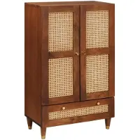 vidaXL Hoge Kast Bruin 60 x 33,5 x 100 cm Massief Mango Hout