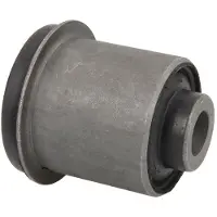 Delphi TD1730W Draagarmrubber