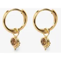 Sissy-Boy Gold plated oorbellen met bruine steen