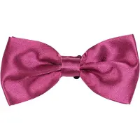 Suitable Satijnen Strik Aubergine Rood -