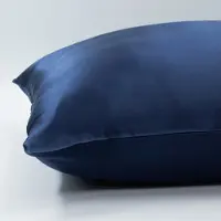 Silk Heaven 2x Zijden Kussensloop 50x60cm Blauw Ritssluiting 19 Momme - Kussensloop set - Luxe Silk Kussensloop 100% moerbei zijde - Zijde kussensloop - - 50x60cm / Ritssluiting