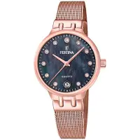 Festina F20716/2