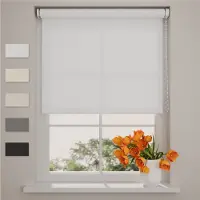 DTCH Rolgordijn Easy Lichtdoorlatend - Bright White - 90 x 190 cm