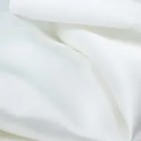 Silk Heaven 2x Zijden Kussensloop 50x60cm Wit Ritssluiting 22 Momme - Kussensloop set - Luxe Silk Kussensloop 100% moerbei zijde - Zijde kussensloop - - 50x60cm / Ritssluiting