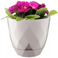 Galicja Karo Serie - Beige Plastieken Bloempot - 15x17,5cm - Incl. Onderzetter