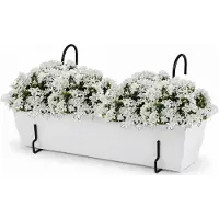 PlasticForte plantenbak Balcony - wit - rechthoek - met twee ophangbeugels - 60 x 18 x 15 cm - kunststof - bloembakken - potten