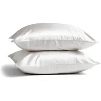 Silk Heaven 2x Zijden Kussensloop 60x70cm Wit Ritssluiting 22 Momme - Kussensloop set - Luxe Silk Kussensloop 100% moerbei zijde - Zijde kussensloop - - 60x70cm (standaard) / Ritssluiting