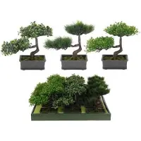 Koopman Kunstboompje bonsai set van 2