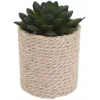 Koopman - Sierplant - Kunstplant in Pot - 8x14 cm - Realistische Uiterlijk