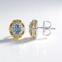 Cavill - Zilveren Oorbellen met Aquamarijn 0,56 ct en Zirkonia 0,43 ct - 925 Sterling Zilver met Palladium - Elegante Ovale Oorknopjes 12 mm