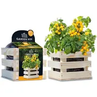 Baza Gardenbox Groentezaad Struiktomaat Tumbling Tom 12 X 11 X 10 Cm
