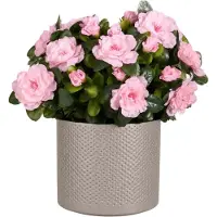 Mica Decorations Kunstplant - Azalea roze - H31 cm - in taupe bloempot - keramiek - complete set van pot en plant - decoratie stuk