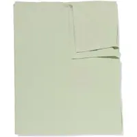 HEMA Tafelkleed 140x240cm katoen groen (mintgroen)