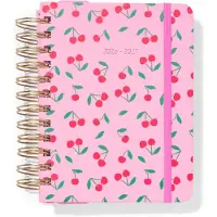 HEMA Schoolagenda 2026-2027 5.4x18.6cm kersen