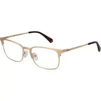 Polaroid PLD D441 54/17/145 Gouden RVS MAN PLD D441