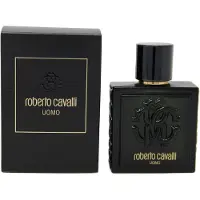 Roberto Cavalli Herengeuren Uomo Eau de Toilette Spray 100 ml