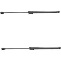 RIDEX 219G3149 Gasveer achterklep