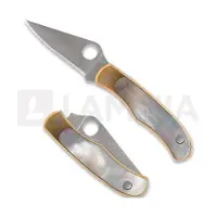 Spyderco Bug Nickel Silver Abalone vouwmes