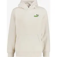 Puma Essential 2 Color Small Nº1 Logo Hoodie